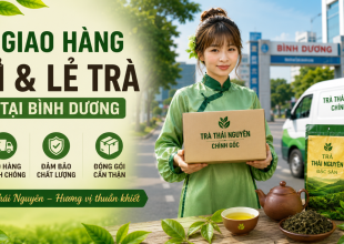 chuyen-cung-cap-si-le-tra-tan-cuong-thai-nguyen-tai-binh-duong-chinh-goc-gia-tot